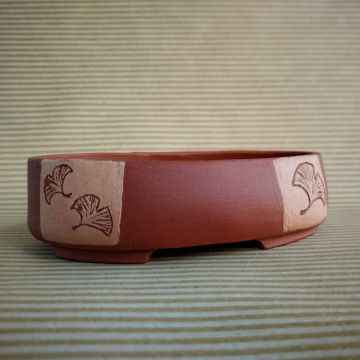 Vaso shohin GINKGO ovale