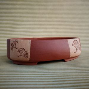 Vaso shohin GINKGO ovale