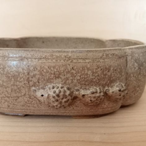 Vaso shohin con famigliola di RICCI