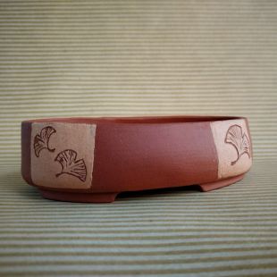 Vaso shohin GINKGO ovale